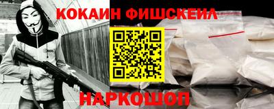 крисы Камышлов