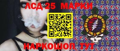 крисы Камышлов