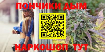 крисы Камышлов