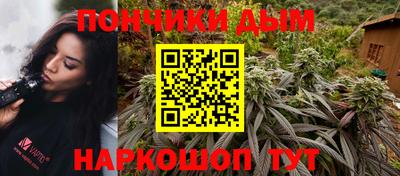 крисы Камышлов
