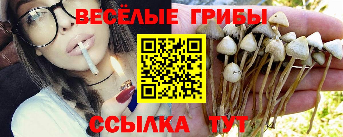Псилоцибиновые грибы Psilocybine cubensis  Вход с VPN  Псилоцибиновые грибы ЛСД  закладка  Кувандык 