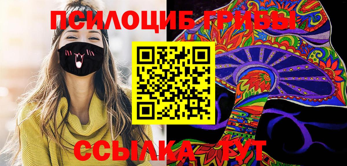 Галлюциногенные грибы Psilocybine cubensis Кувандык